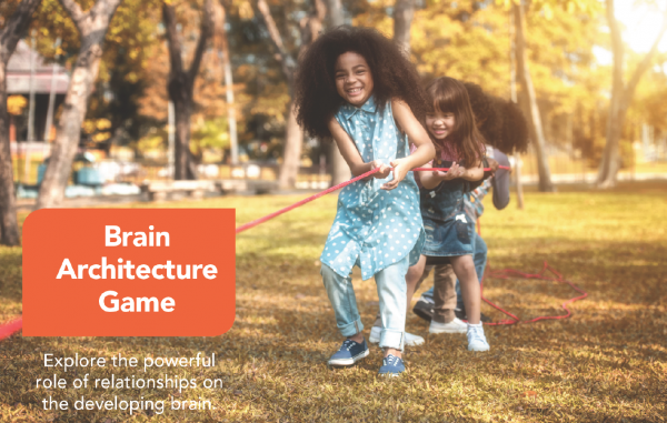 Brain Architecture Game hero image