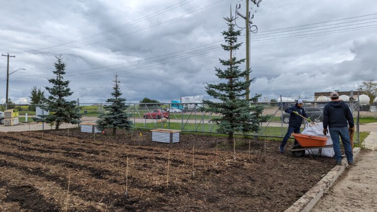 United Way's Heartland Challenge committee volunteers built a garden at the Fort Saskatchewan Food Bank to help the organization grow their own food.